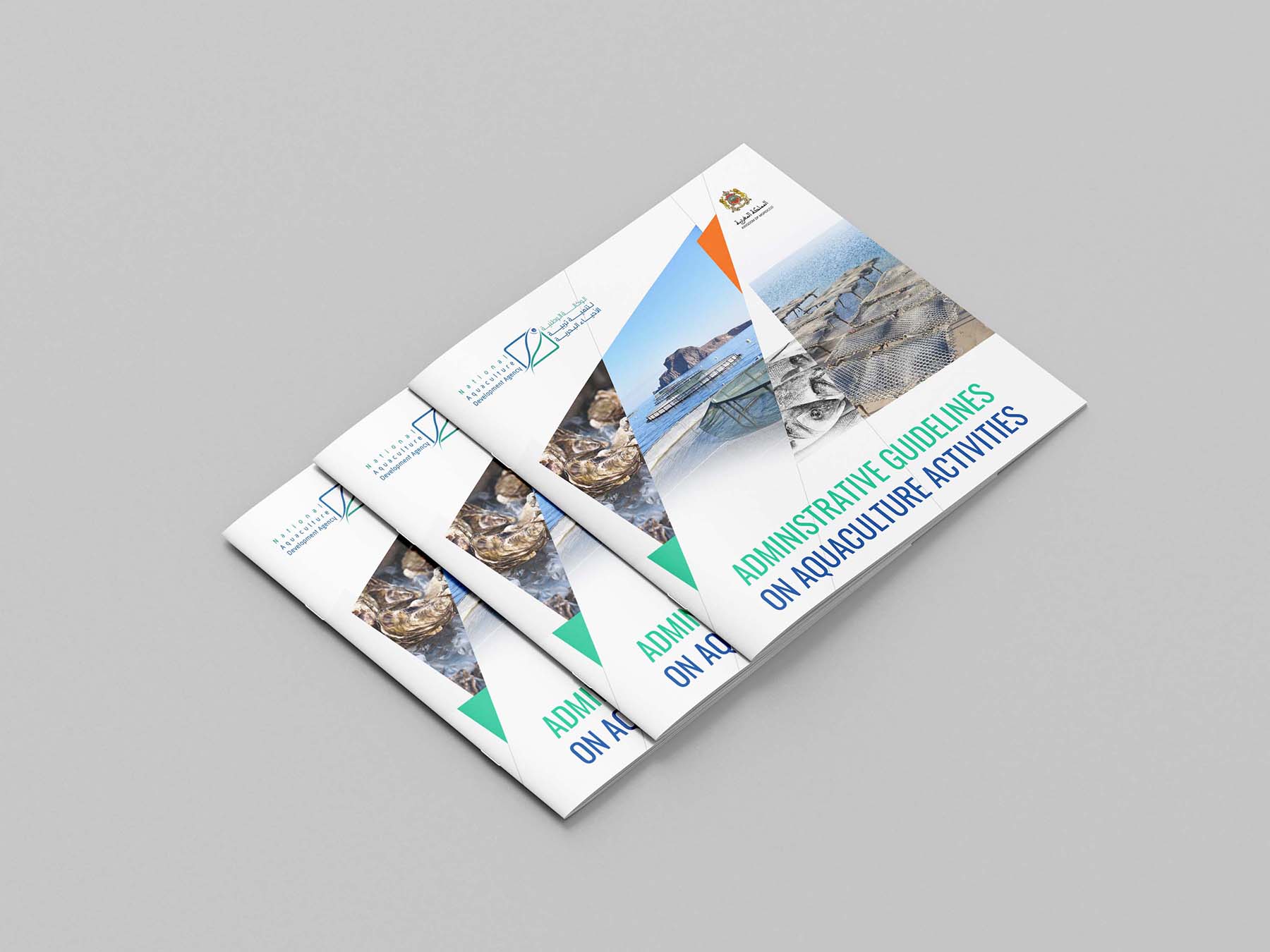 Administrative guidelines